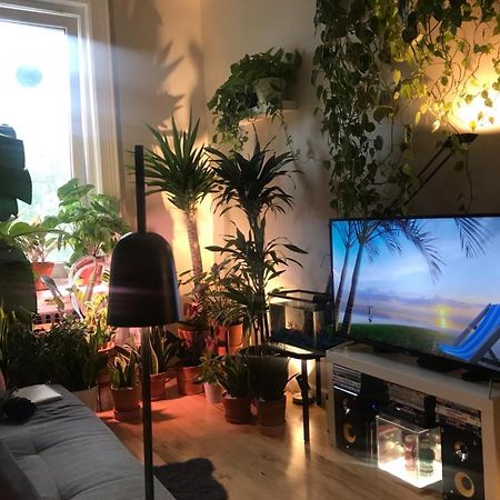Urban Jungle Oasis In Queens! Apartment นิวยอร์ก ภายนอก รูปภาพ