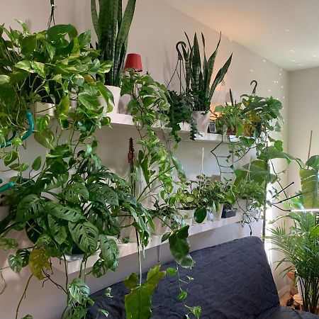 Urban Jungle Oasis In Queens! Apartment นิวยอร์ก ภายนอก รูปภาพ