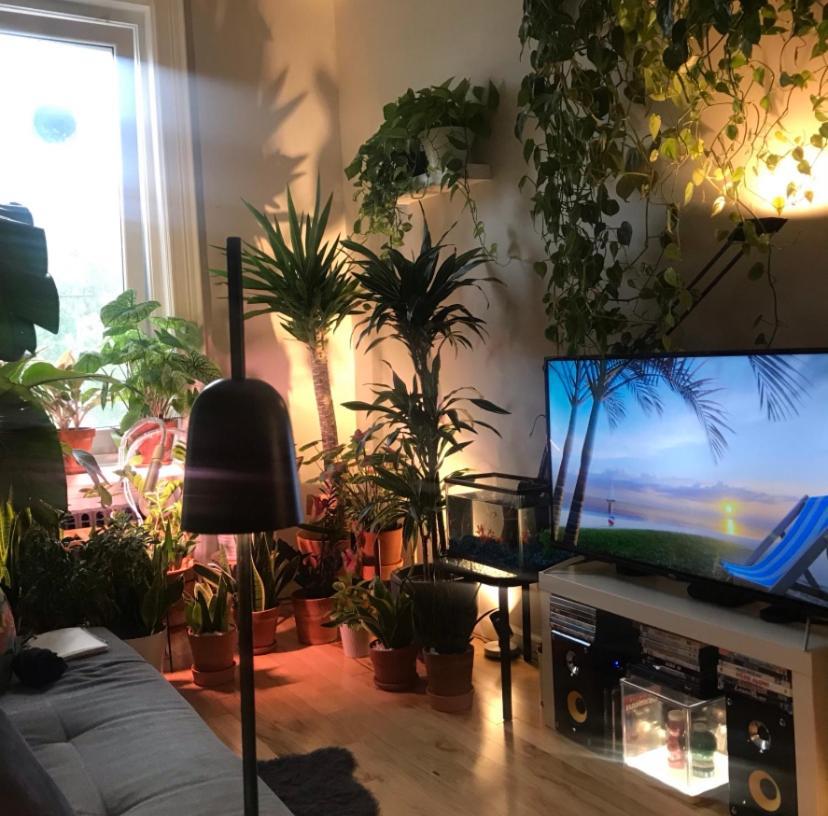 Urban Jungle Oasis In Queens! Apartment นิวยอร์ก ภายนอก รูปภาพ