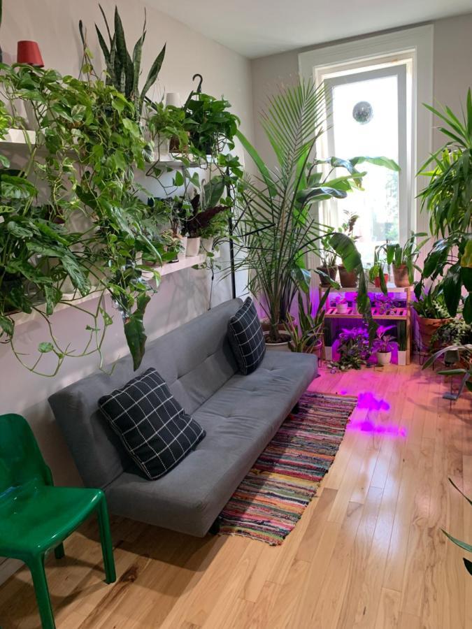 Urban Jungle Oasis In Queens! Apartment นิวยอร์ก ภายนอก รูปภาพ