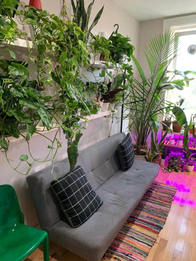 Urban Jungle Oasis In Queens! Apartment นิวยอร์ก ภายนอก รูปภาพ