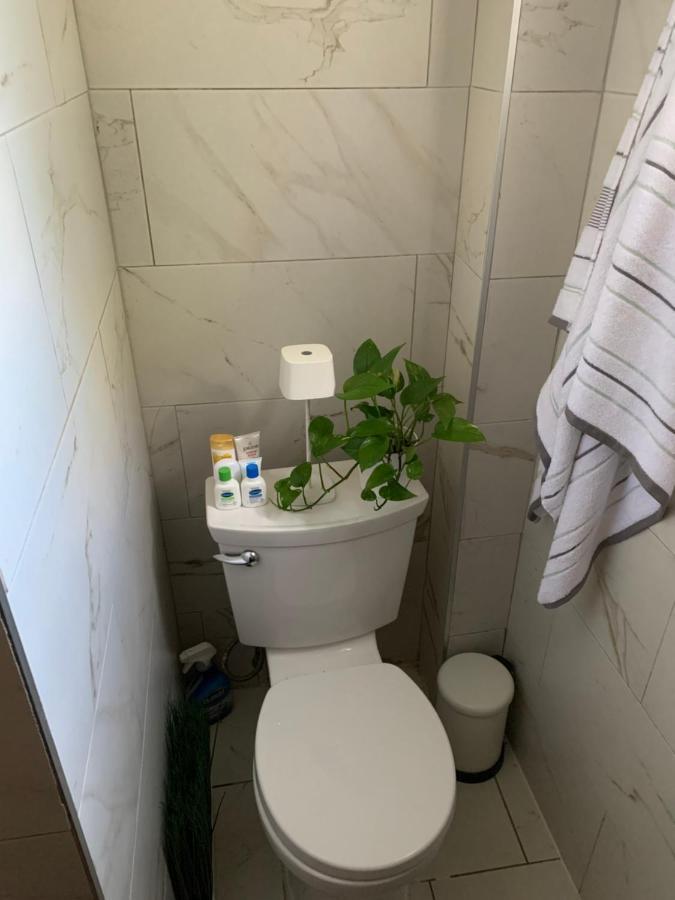 Urban Jungle Oasis In Queens! Apartment นิวยอร์ก ภายนอก รูปภาพ