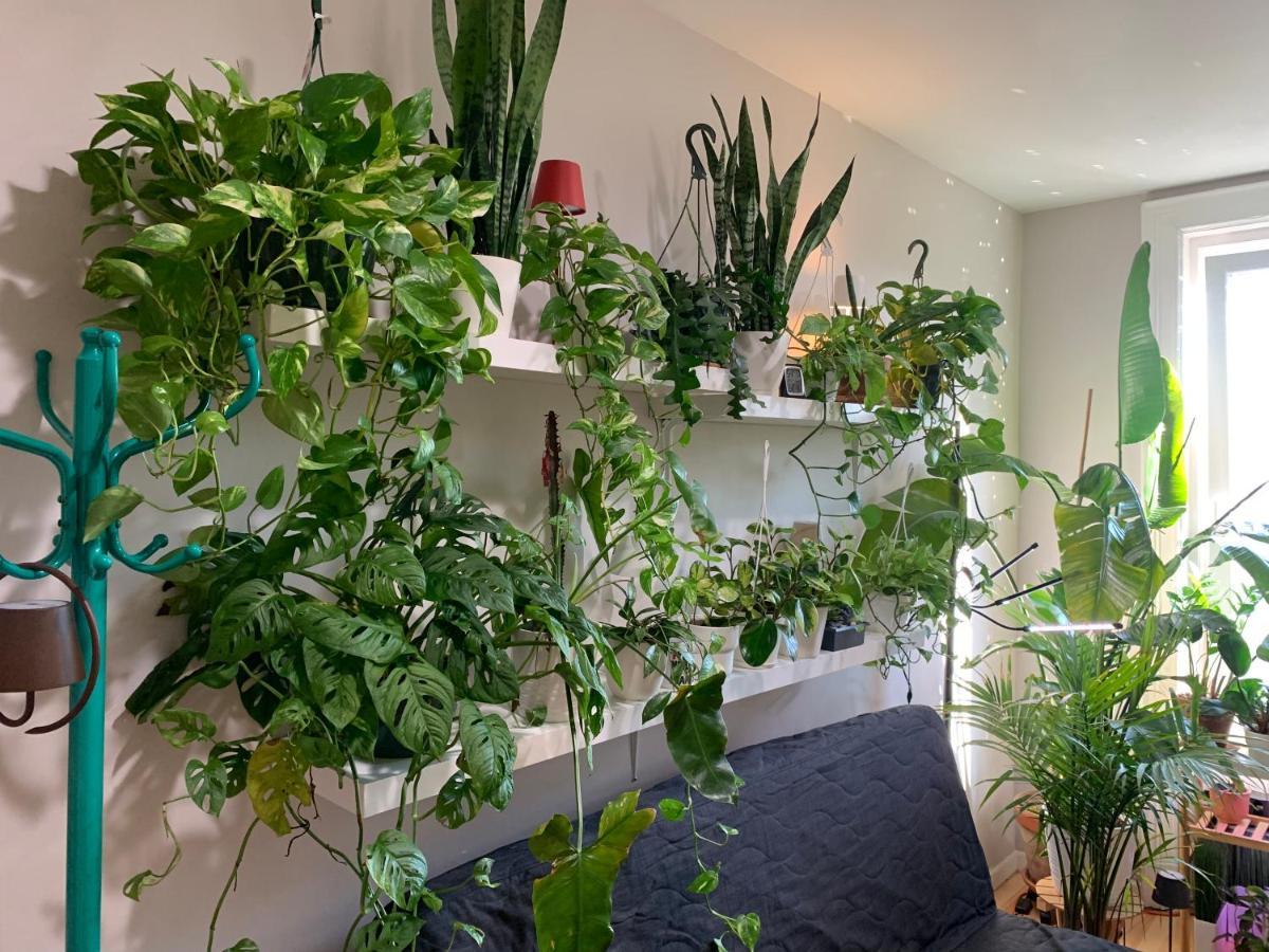 Urban Jungle Oasis In Queens! Apartment นิวยอร์ก ภายนอก รูปภาพ