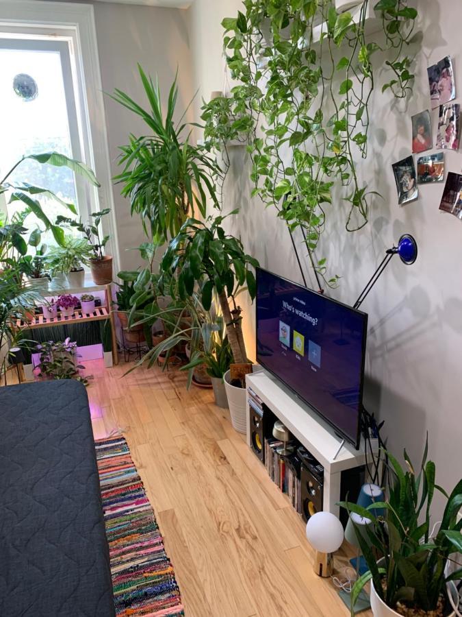 Urban Jungle Oasis In Queens! Apartment นิวยอร์ก ภายนอก รูปภาพ